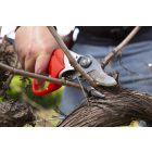 Felco 812 Plus akkumulátoros metszőolló komplett csomag