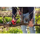 Felco 812 battery pruning shears complete package