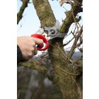Felco 822 akkumulátoros metszőolló komplett csomag