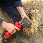 FELCO 834H electric scissors set