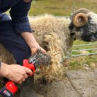 FELCO 834H electric scissors set