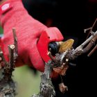 FELCO 834V electric scissors set