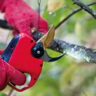 FELCO 834W electric scissors set