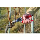 Felco 8 pruning shears + Felco 600 hacksaw in gift box