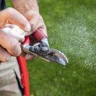 Felco 981 cleaning spray