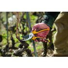 Alpen Gelbhorn 140 pruning shears