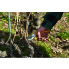 Alpen Gelbhorn 140 pruning shears
