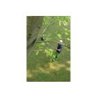 Silky Hayauchi 6300 Professional telescopic pruner with 480 blades