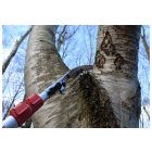 Silky Forester 3000-7.5 Professional telescopic pruner