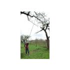 Silky Forester 3000-7.5 Professional telescopic pruner