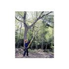 Silky Hayate 3800 Professional 2-part telescopic pruner