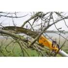 Silky Hayate 5000 Professional 3-part telescopic pruner