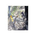 Silky Hayate 7700 Professional 4-part telescopic pruner