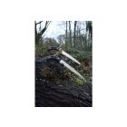 Silky Gomtaro 300-8 saw