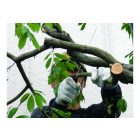 Silky Gomtaro 240-8-14 Pro-Sentei fűrész