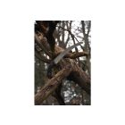 Silky Zübat 300-7.5 saw