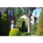 Silky Zübat 3900-7.5 Professional 2-part telescopic pruner