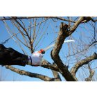 Silky Tsurugi Curve 375-6.5 saw