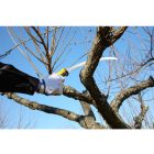 Silky Tsurugi Curve 330-10 saw