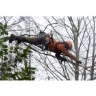 Silky Zübat Ultimate 330-7.5-6.5 curved saw