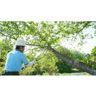 Silky Katanaboy Professional 650-4 folding saw