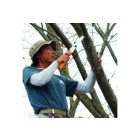 Silky Gomboy Curve 210-8 folding saw