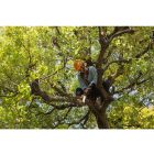 Silky Sugoi 330-6.5-5.5 saw