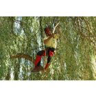 Silky Sugoi 420-6.5 saw