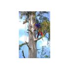 Silky Sugowaza 420-6.5 saw