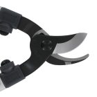 ARS LPB-20L pruner