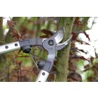 ARS LPB-20L pruner