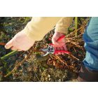 Felco 11 pruning shears + gift cap