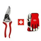 Felco 8 pruning shears + gloves