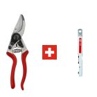 Felco 8 pruning shears + Felco 905 sharpener