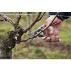 Felco 14 pruning shears + Felco 905 multifunctional sharpener