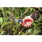 Felco 8 pruning shears + F-Tech 7/3 blade