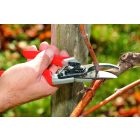 Felco 8 pruning shears + F-Tech 7/3 blade