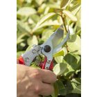 ARS VS-9XR pruning shears