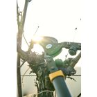 Alpen Weisshorn 260 pruning shears 60 cm