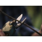 Wildhorn 32 + Beverin 10 Pruner Pack