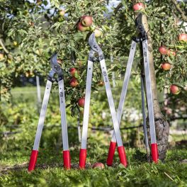 Lopper, Hedge trimmer