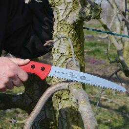 Straight pruning saw