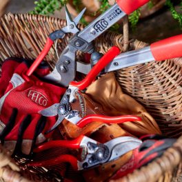 Pruning shears