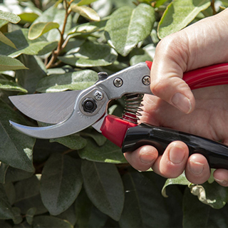 ARS VS-széria - Japán precizitás